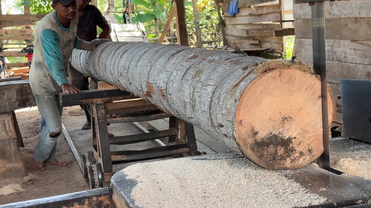 Complete Process of 5x10 Coconut Tree Sawmill &ndash; Maximum Results