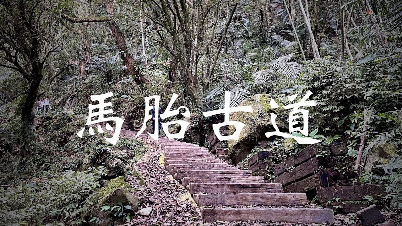 一日郊山 ｜ 馬胎古道 ｜ 親子健行輕鬆步道，夏日避暑好去處｜ 2021-03-21