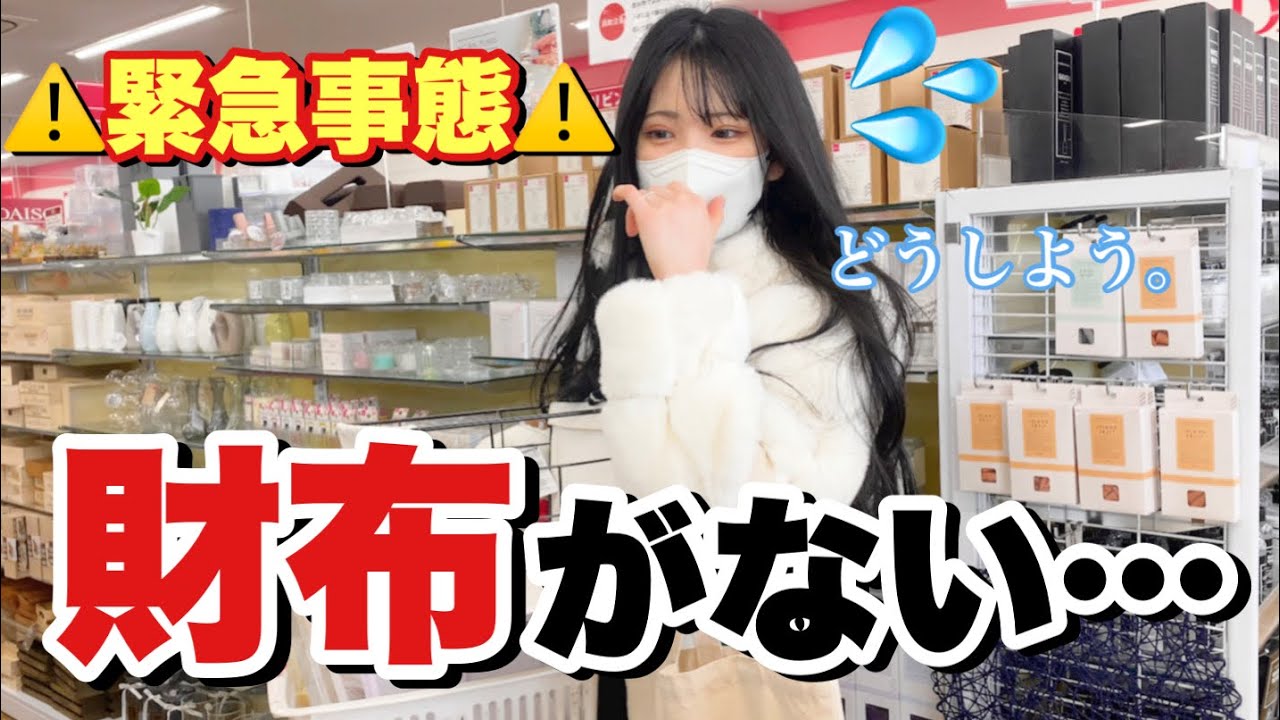 【ダイソー】財布がない！！！⚠️緊急事態⚠️「ダイソー買い物＆購入品紹介」