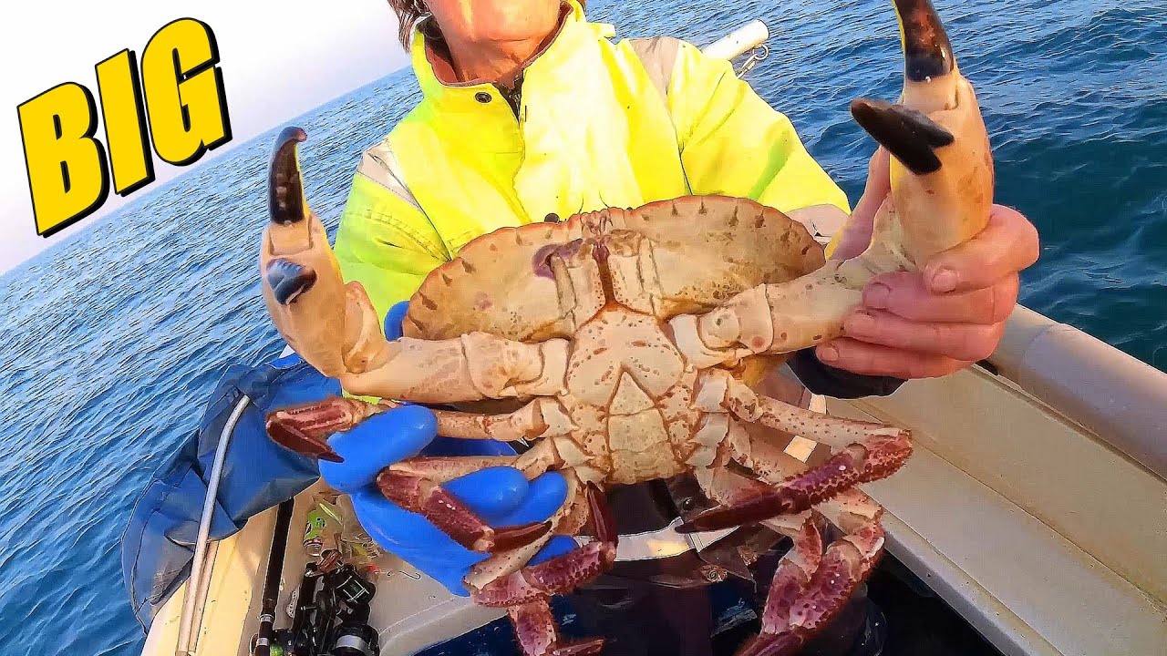 Its Got It All Big Crab, Fish, Fast Tides, Feeding Frenzy, Helicopter, Lighthouse