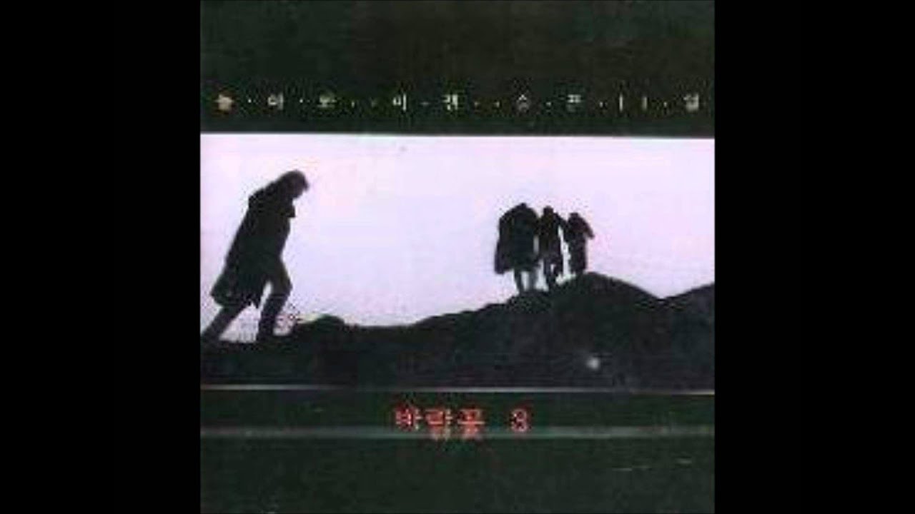 Rain Of The Nigh-바람꽃