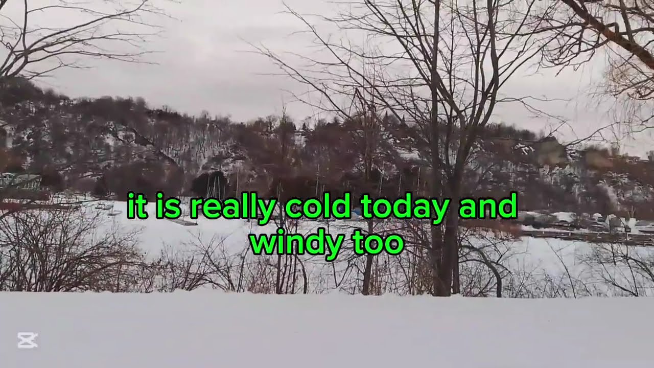 The Scarborough Bluffers Park After the Snowstorm 