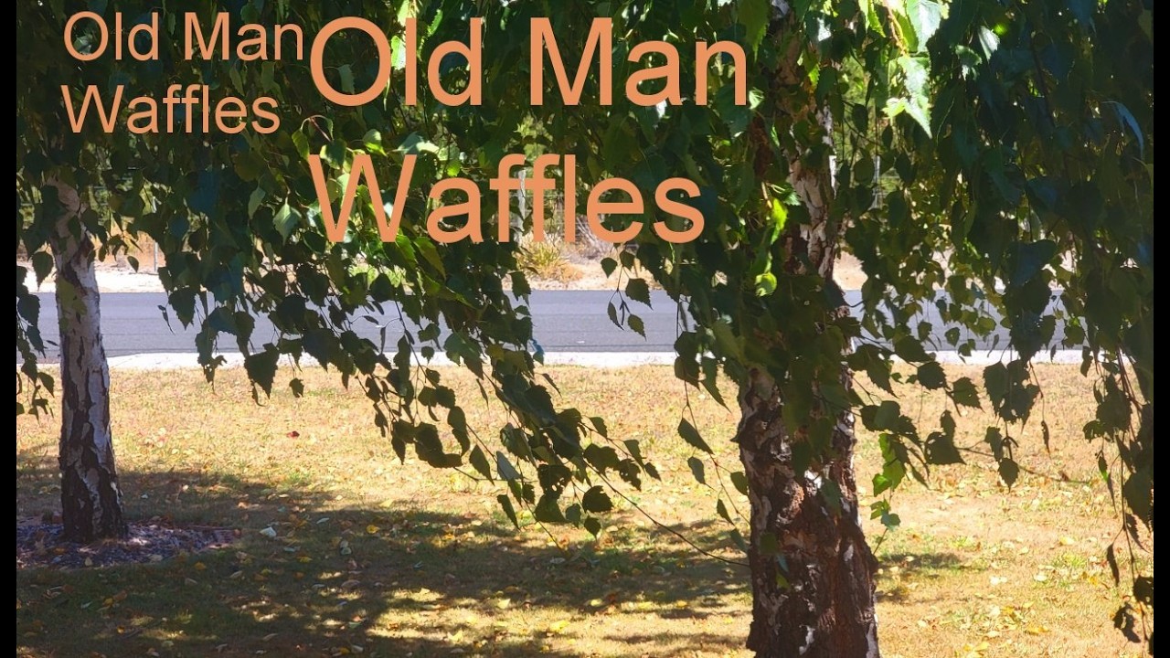 Old Man and His Waffle
