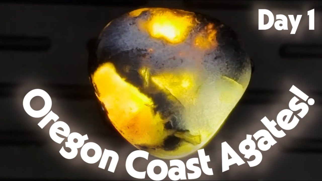 Rockhounding in The Devil's Punchbowl! #gemstone #agate #rockhounding #asmr #travel #beach #oregon