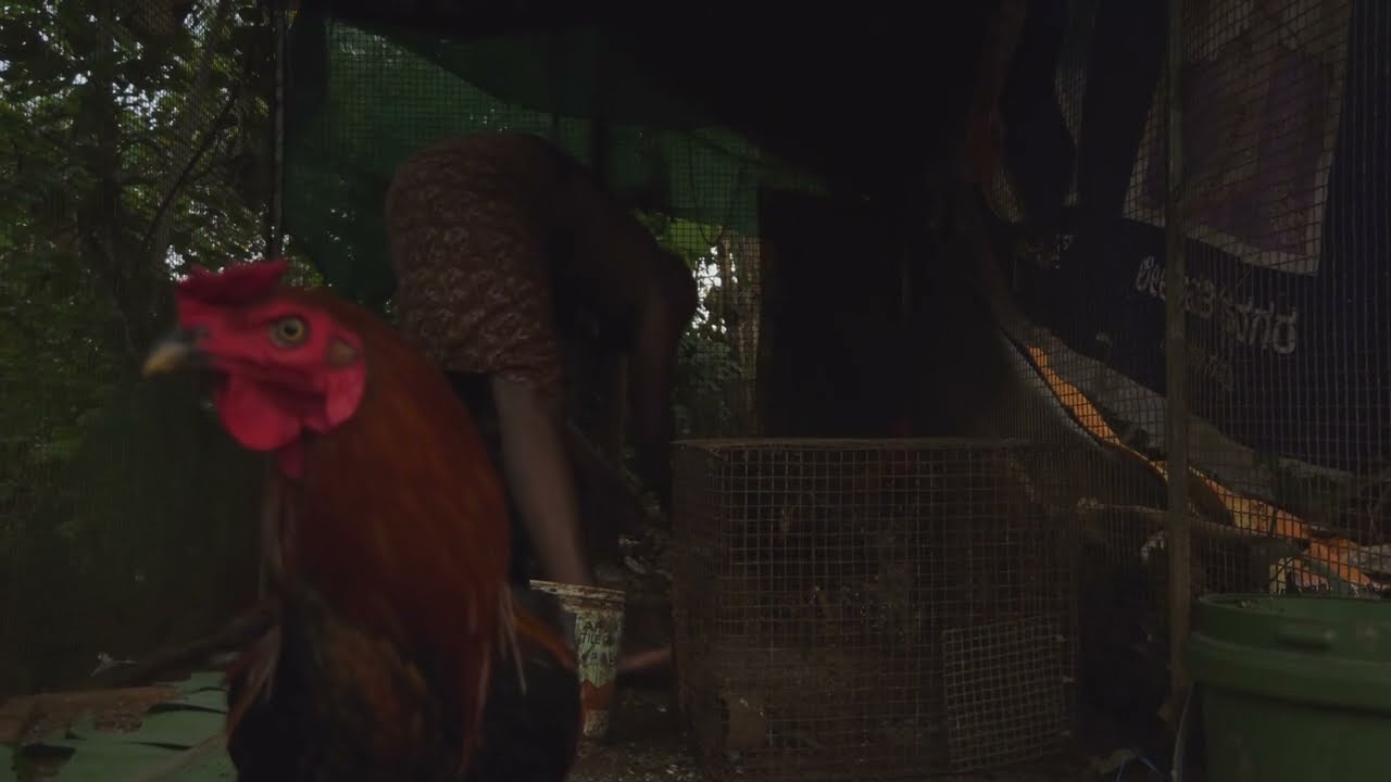 DELETED SCANE | ripper short film #shortvideo #crimethriller