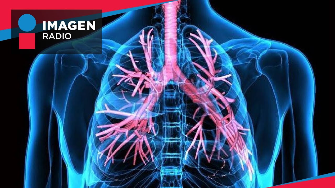 Enfermedades pulmonares más comunes
