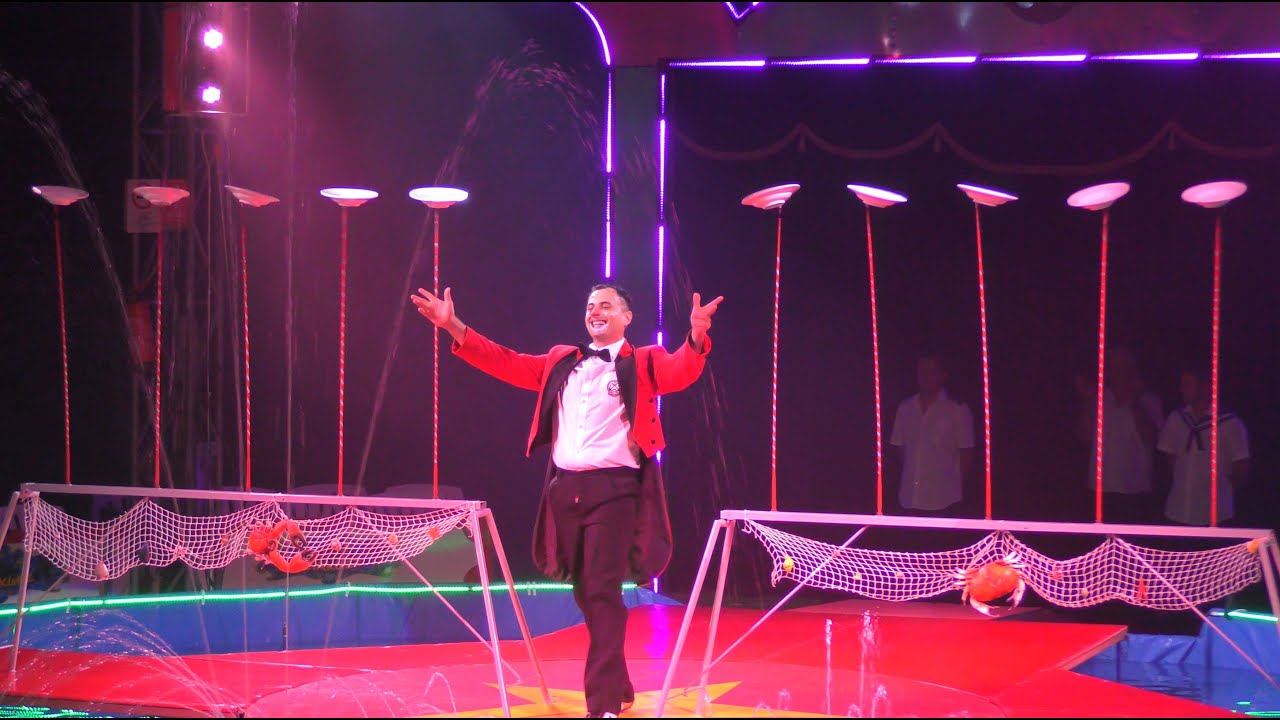 Duna Cirkusz Aquatico - Water Circus - Tányérzsonglőr bohóc szám: Richter Dániel - 2020.Szombathely