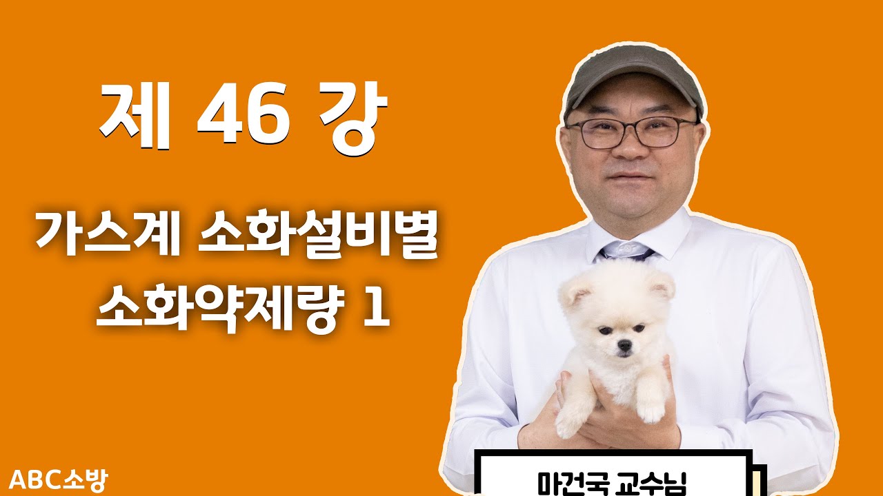 제46강 가스계 소화설비별 소화약제량 1(할로겐화합물 및 불활성기체소화설비 안전계수 개정 수정본)