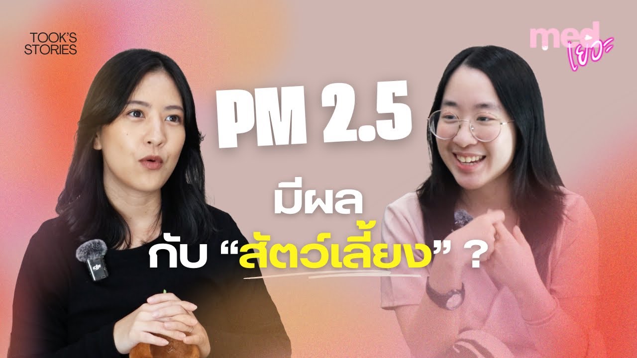 #Highlight สัตว์เลี้ยงแพ้ฝุ่น PM2.5 ? | ปัญหาสุขภาพของหมาแมว และผลกระทบที่ได้รับจากการแพ้ฝุ่น EP.01