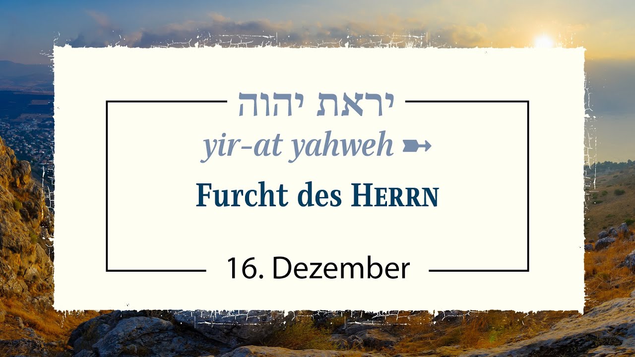 16.12 Marias und Josephs IQ-Test? | Adventskalender