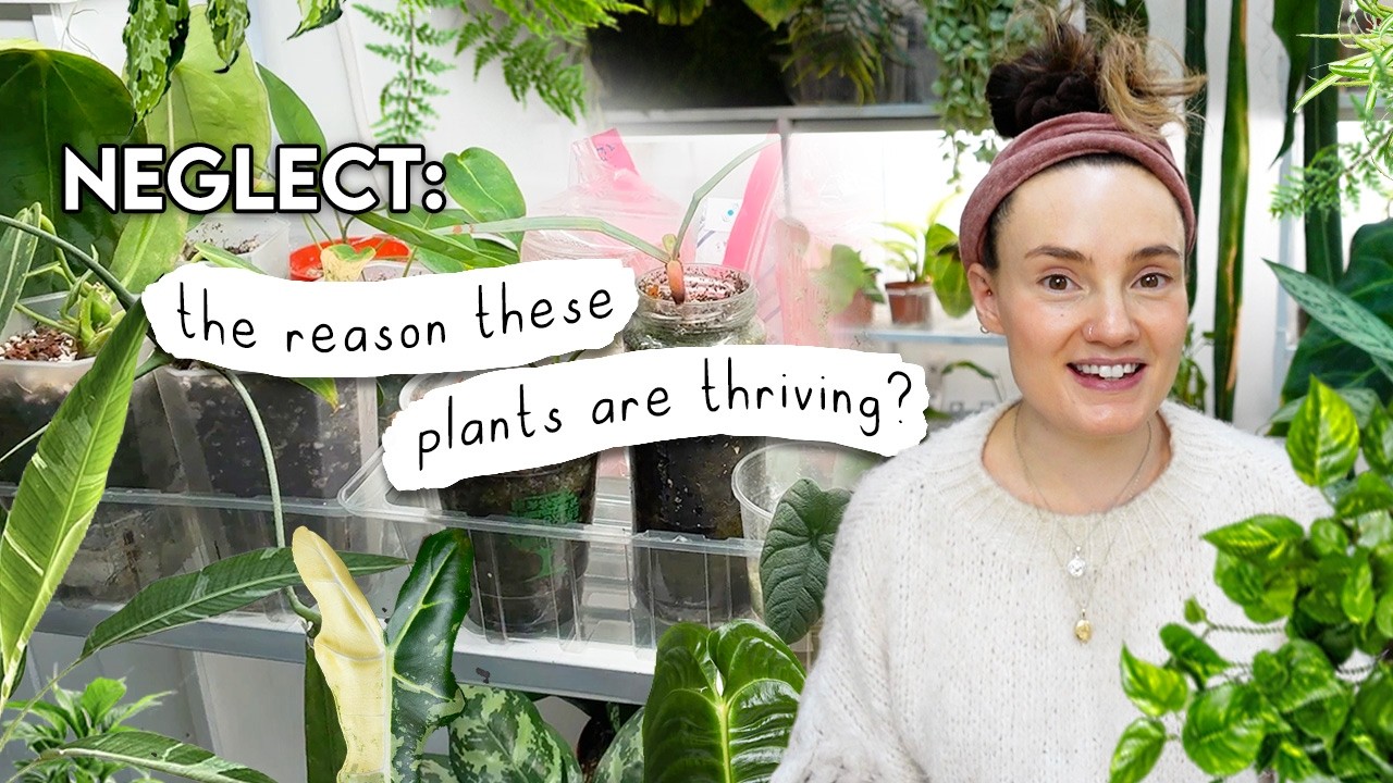 The REAL Reason These Plants Are Flourishing 🌿