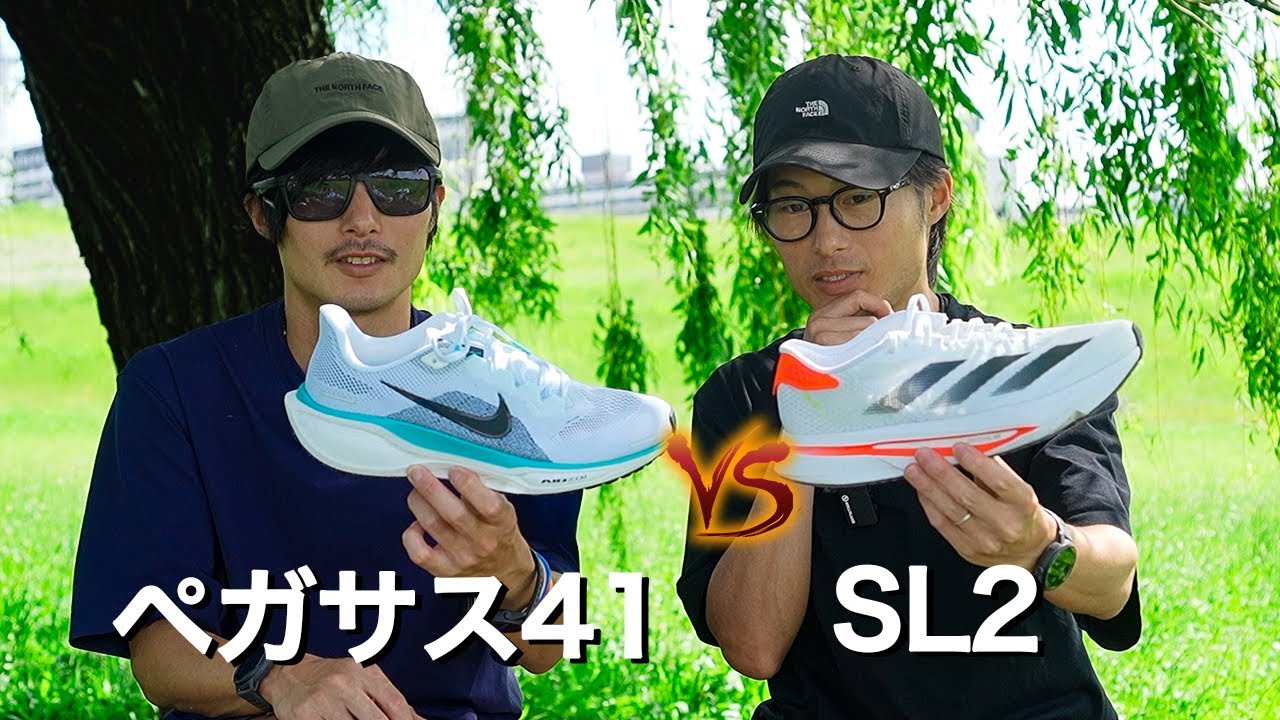 ペガサス41とSL2を比較！どっちがおすすめなのか？