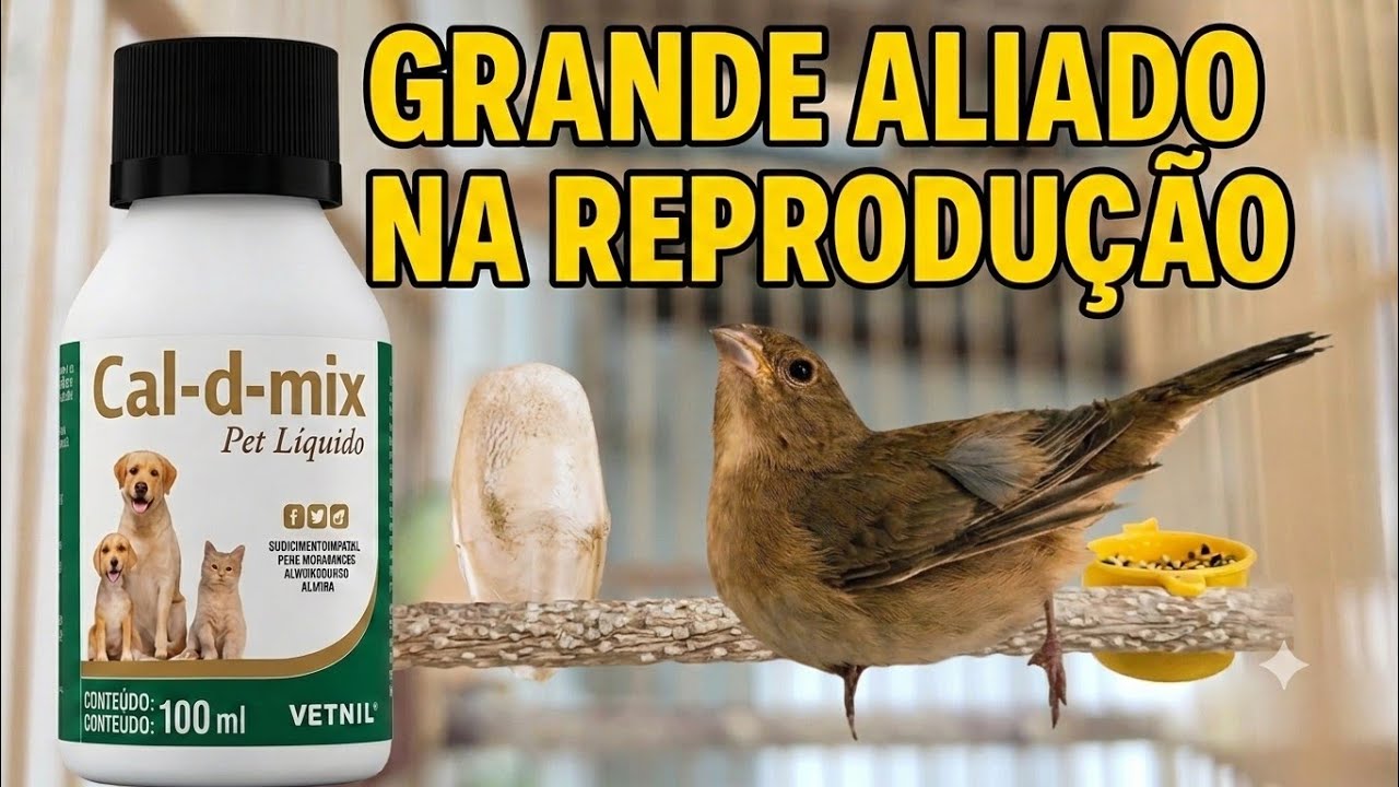 CAL-D-MIX  grande aliados na reprodução