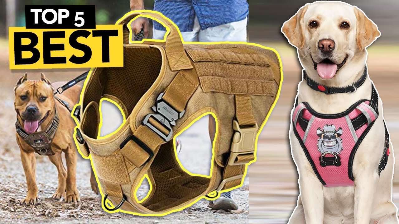 ✅ Best Tactical Dog Harness [ Buyer's Guide ]