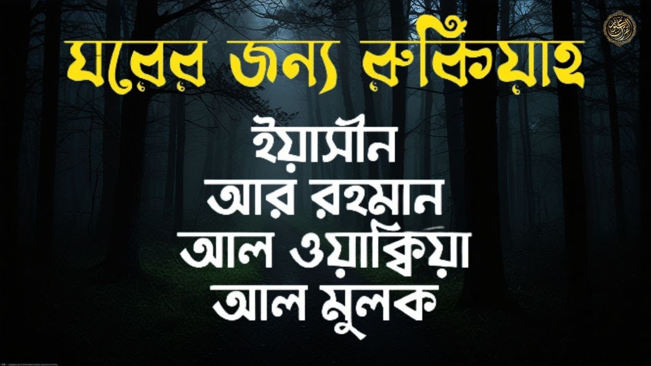 সূরা ইয়াসিন   সূরা আর রহমান   সূরা ওয়াকিয়া   সূরা মূলক    সব চেয়ে সেরা কুরআন তিলাওয়াত  Quran