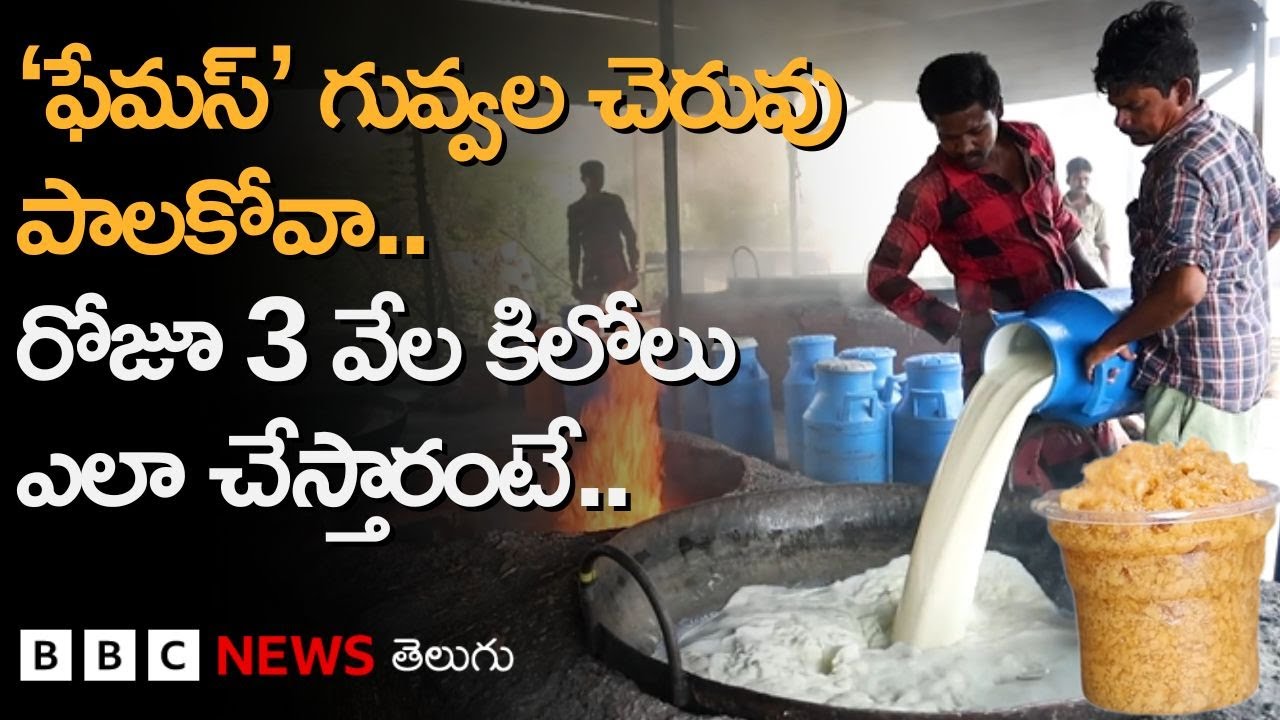 Palakova Making: Bread మధ్యలో పెట్టుకుని తినే ఈ పాలకోవా ఎందుకంత Famous?.. దీనిని ఎలా తయారు చేస్తారు?