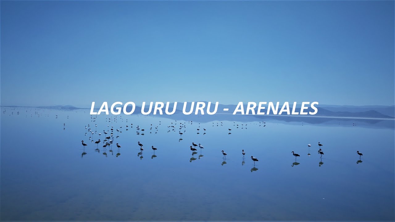 Lago Ur&uacute; Ur&uacute; y Desierto de arena en el altiplano Boliviano, Oruro, Bolivia, tomas a&eacute;reas 4k