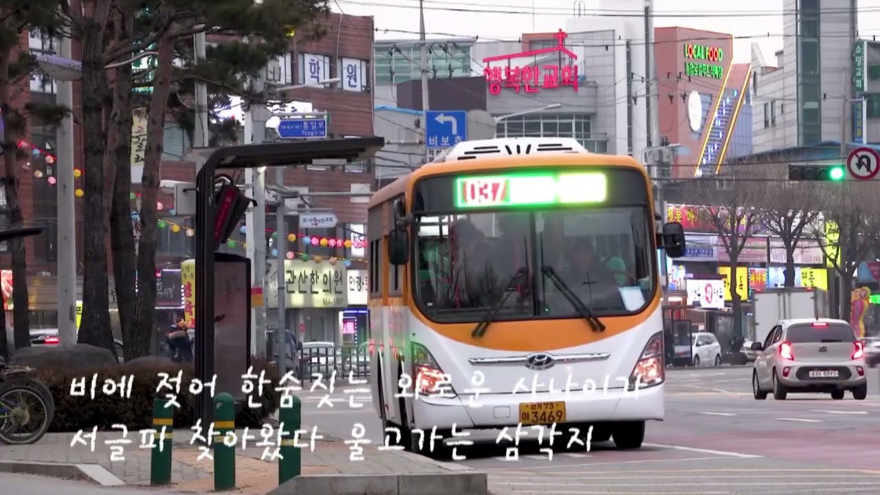 배호애창곡12곡집