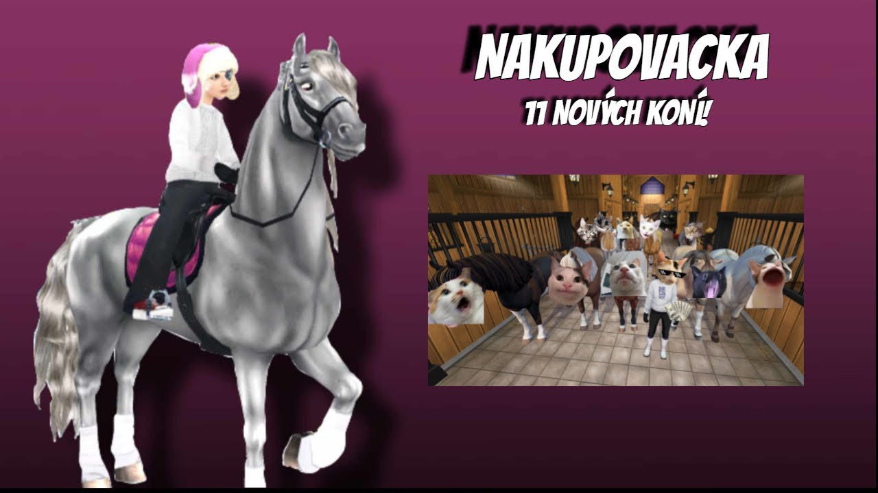 Nakupovačka za 11000 sc!/ STAR STABLE