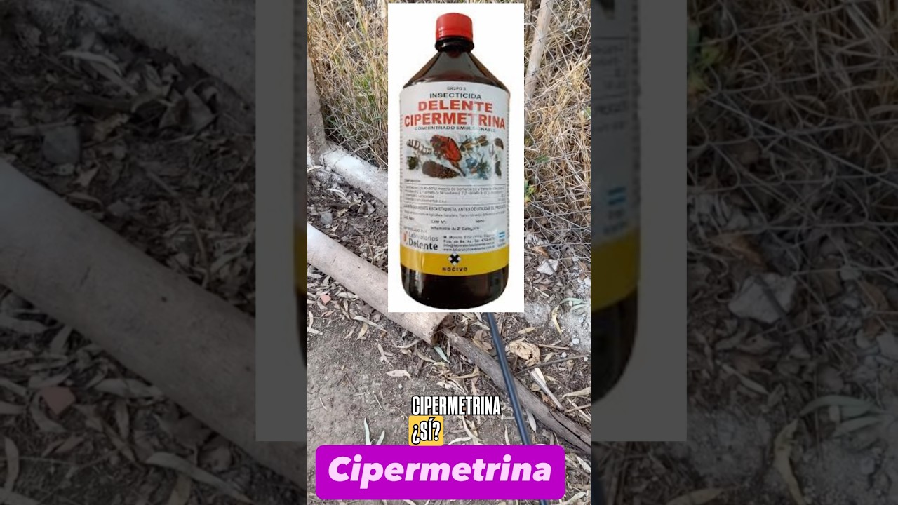 Método Agresivo para ELIMINAR hormigas 🐜