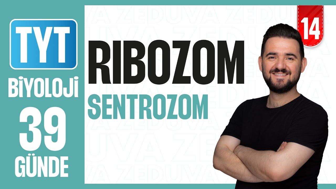 Ribozom Sentrozom Konu Anlatımı | 39 GÜNDE AYRINTILI TYT BİYOLOJİ KAMPI 2026-27 | 14