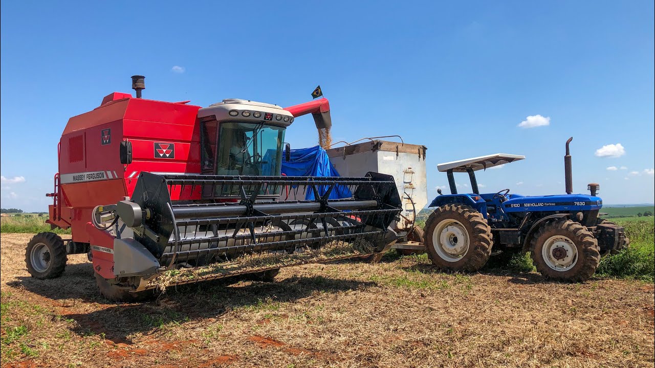 COLHEITADEIRA MASSEY FERGUSON 5650 NA COLHEITA DA SOJA COMPACTA 65i65!