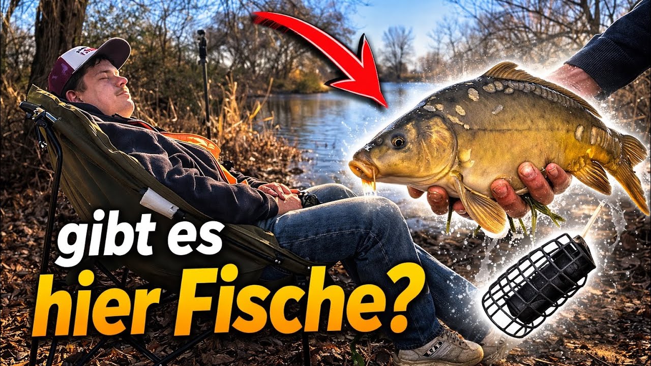 Angeln auf Karpfen und Co. in Brandenburg &ndash; Scheitern wir?🎣| 2. Tag der 30 Tage-Angel-Challenge