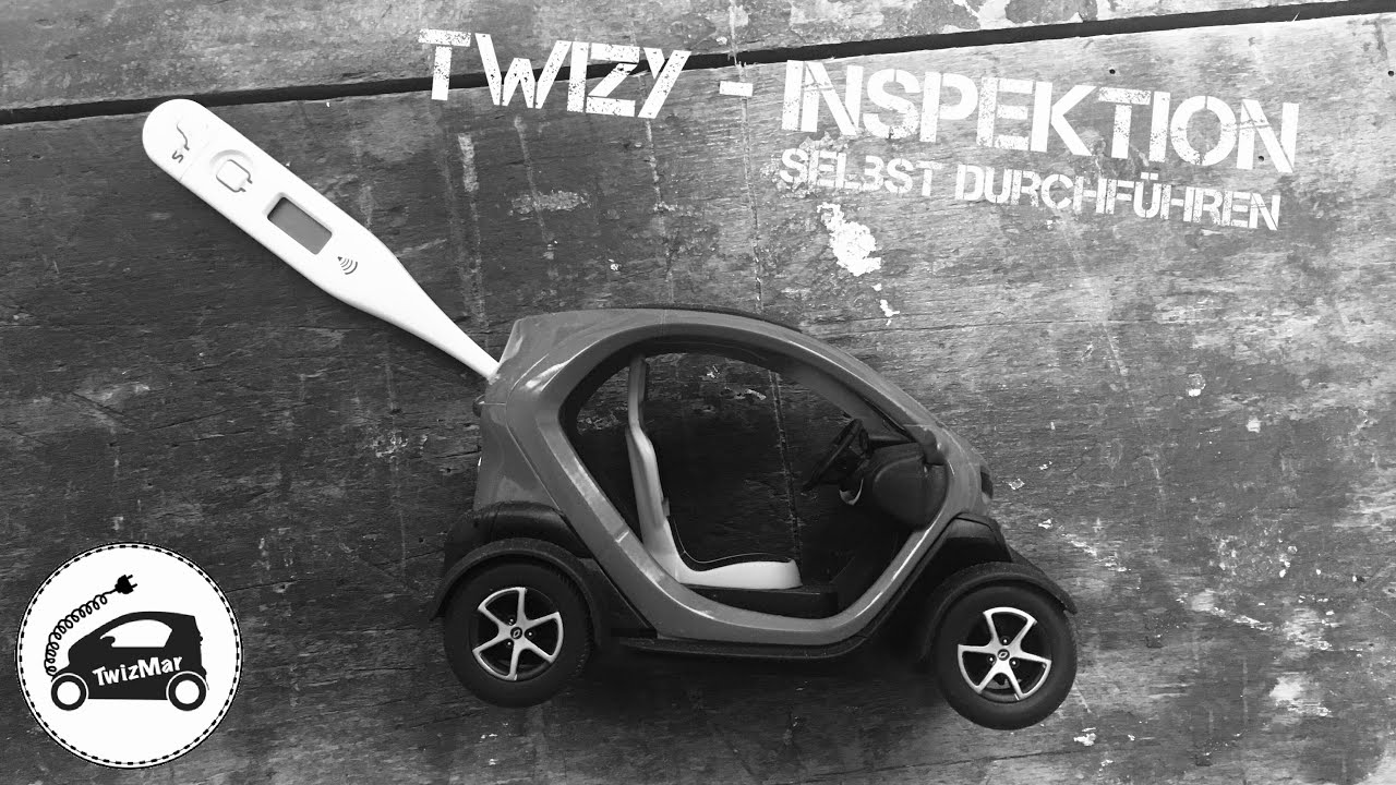 Twizy - Inspektion selbst durchführen - Teil 1