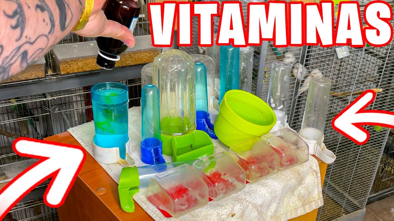VITAMINAS PARA PERIQUITOS