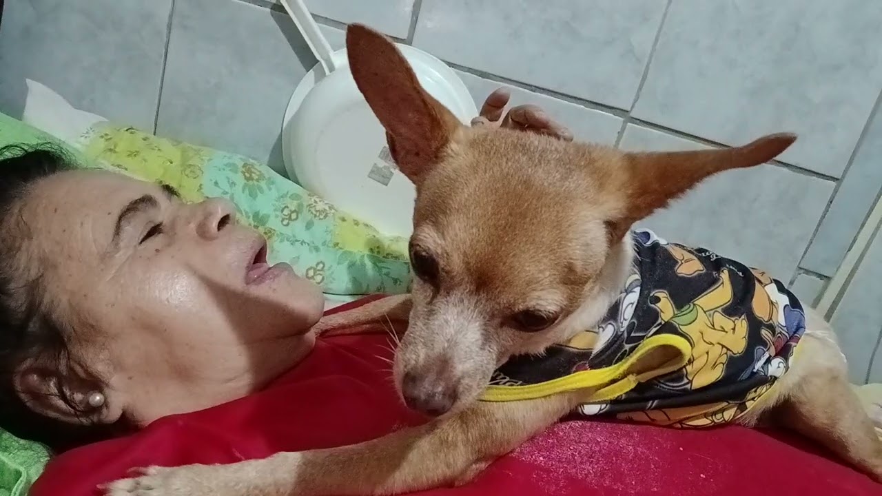 15 de fevereiro de 2026