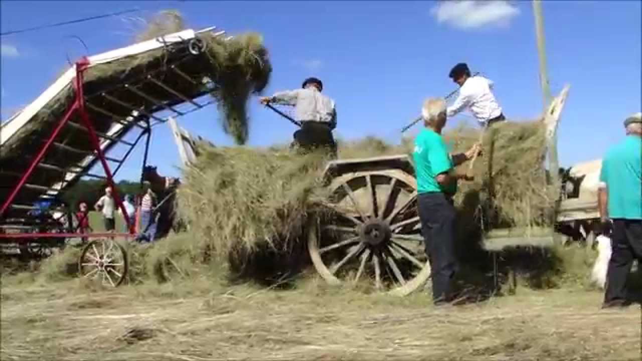 Fenaison à l'ancienne d'Espinas (82) 2014
