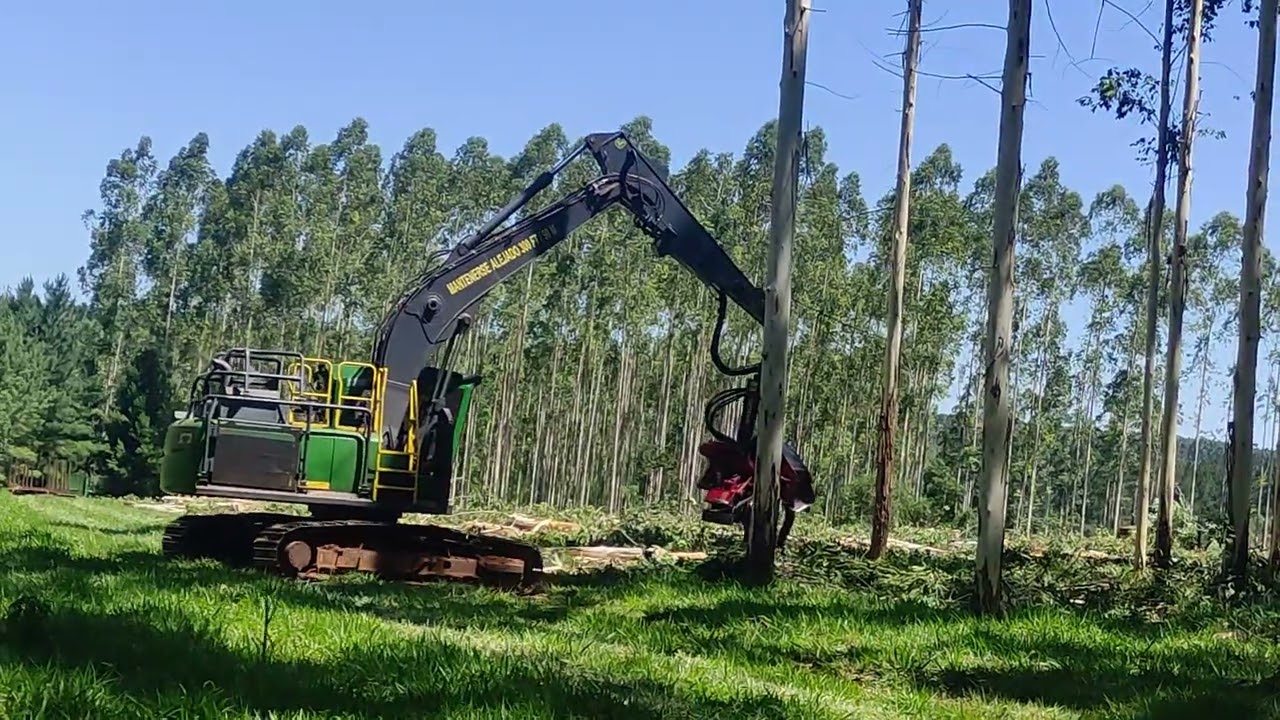 #harvester #johndeere #johndeereargentina en tala rasa de #eucalyptus #eucalipto 2 #waratah