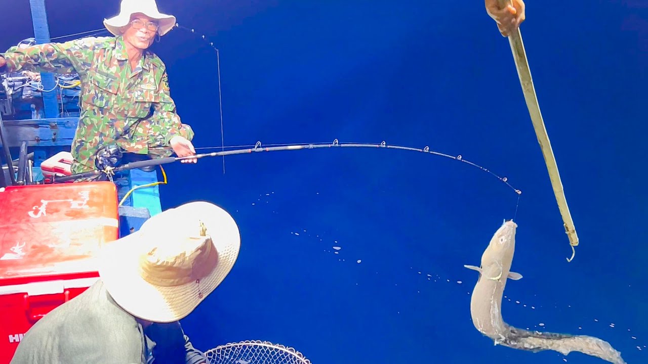 Câu Đêm Gặp Ngay Ổ Cá Chình Và Cá Ngừ Răng║Câu Cá Biển Nha Trang 2