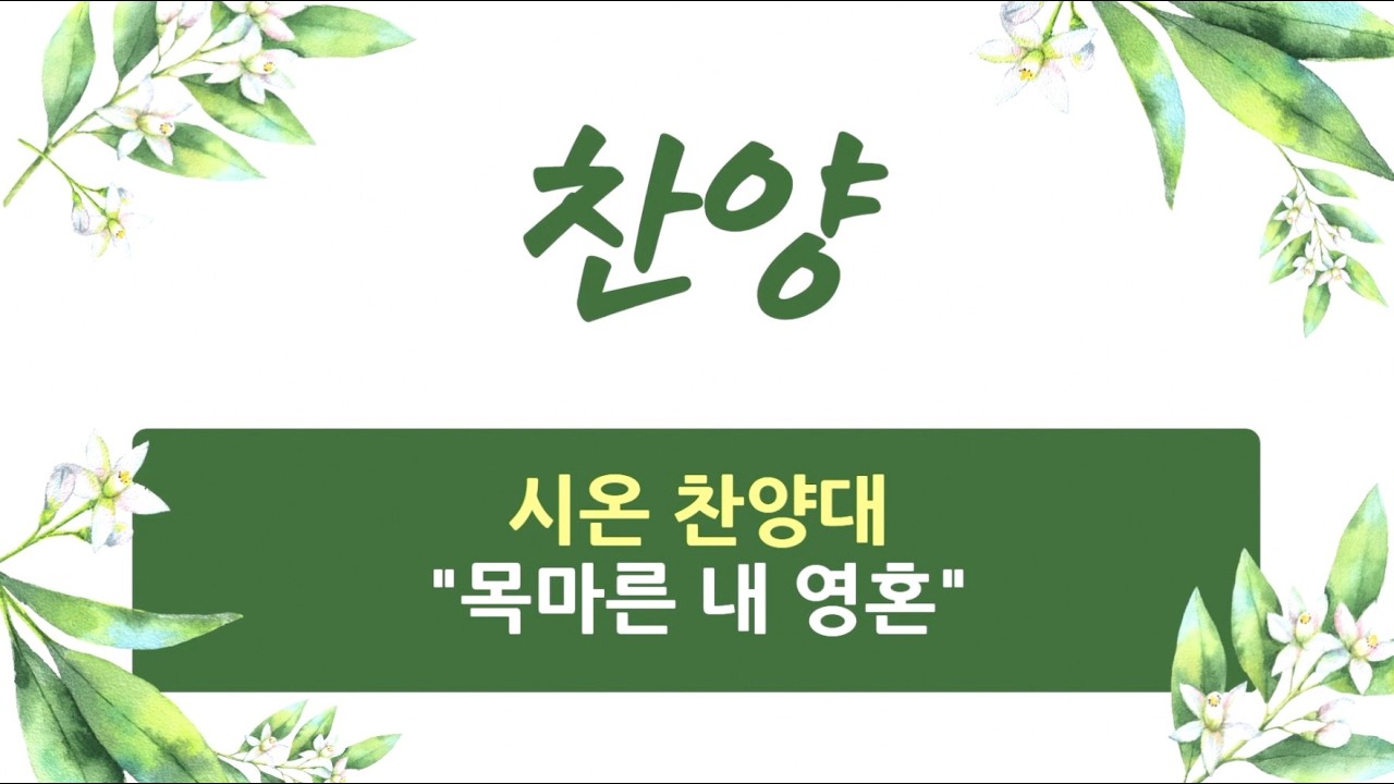 2026. 2. 8 / 성지교회 주일 찬양 / 시온 찬양대 / 목마른 내 영혼