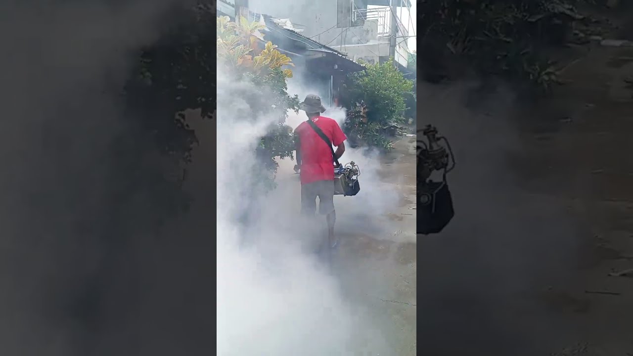 Fogging nyamuk pencegahan Wabah DBD #fogging #nyamukdbd #yonoschannel 