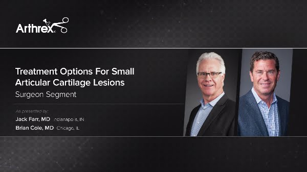 Treatment Options for Small Articular Cartilage Lesions