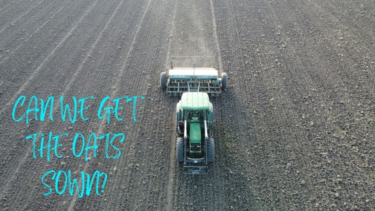 Last Of The Cultivating & Finally Sowing Oats With The John Shearer Combine & John Deere 6310