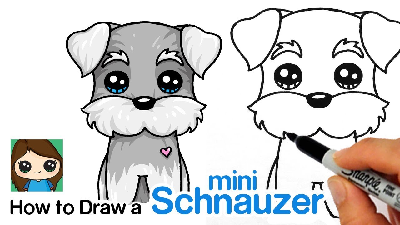 How to Draw a Miniature Schnauzer Puppy Easy | Cartoon Dog