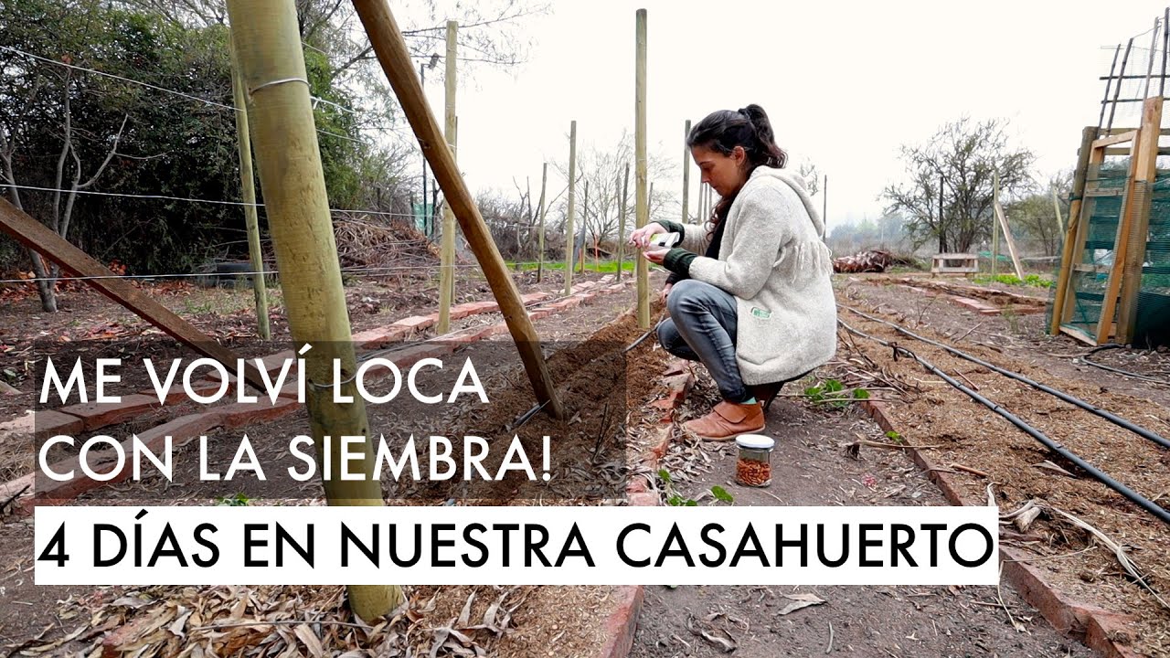 Me volví loca con la Siembra! 4 días en nuestra Casahuerto - Siembra de Pepinos melones y calabazas