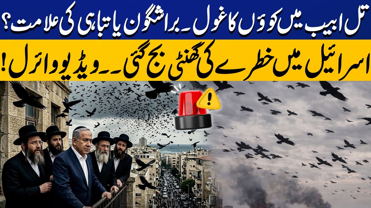 Is a Flock of Crows in Tel Aviv a Bad Omen or a Sign of Disaster? | Capital TV