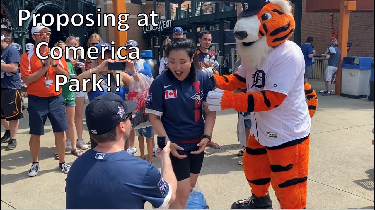 Proposing at Comerica Park! TOR @ DET