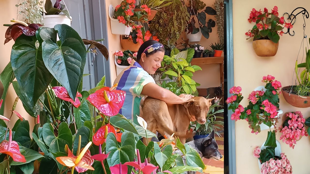 Este es mi JARDIN lleno de Experiencias y con muchos años de Dedicación 🏡🙋💚🌺