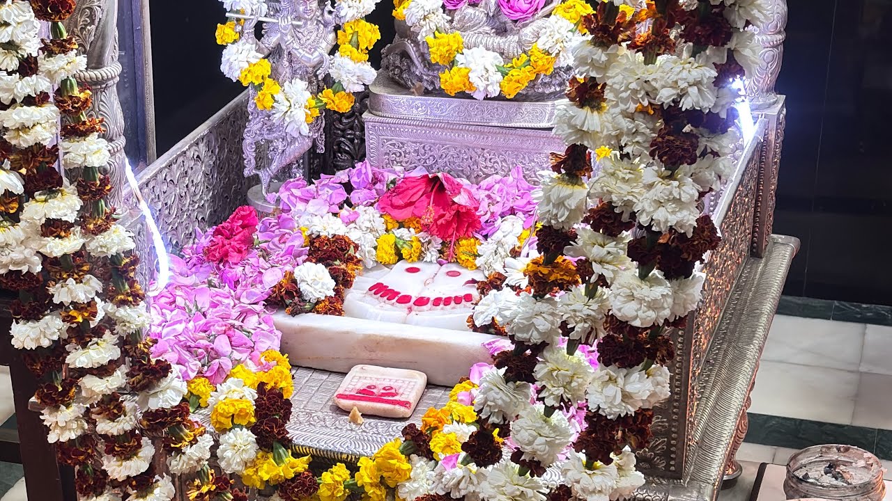 butati dham live aarti 02/02/26