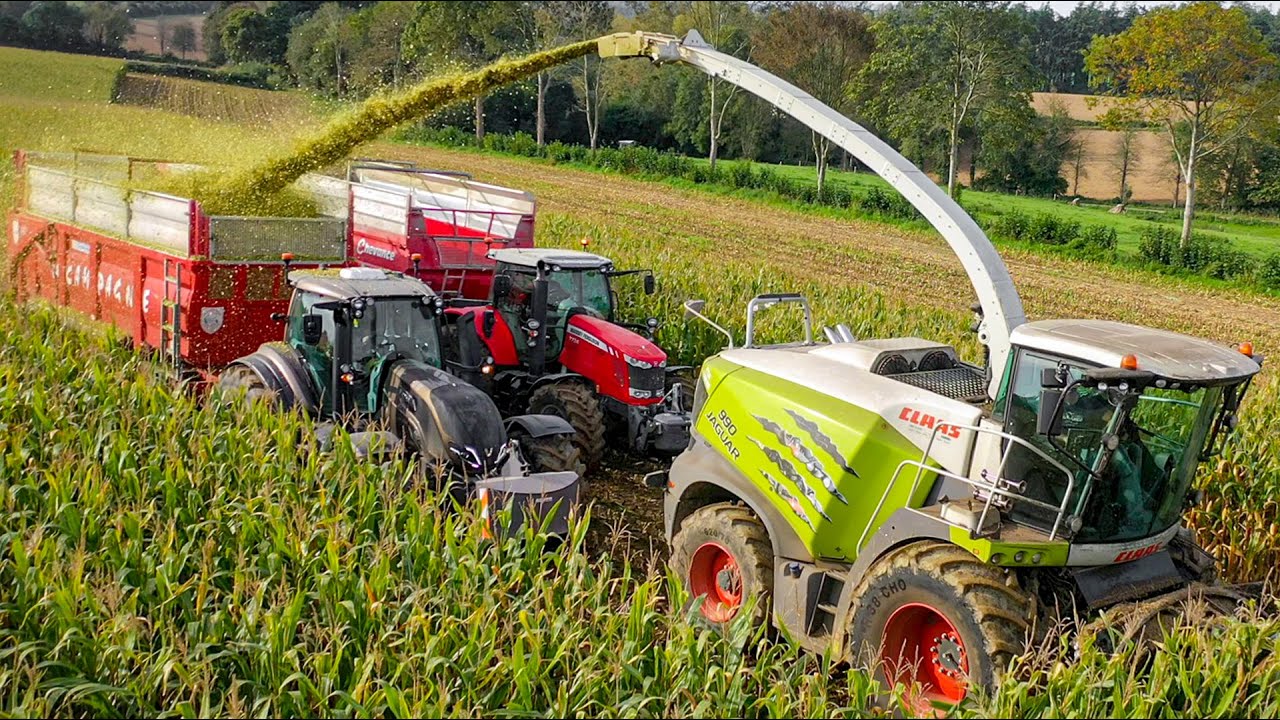 ENSILAGE DE MAIS / CORN SILAGE 2023 - GAEC LE BALENCON