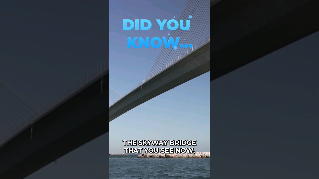 Skyway bridge in Tampa Bay history lesson 🌉👀 #history #tampahistory #tampabay #fishing #florida