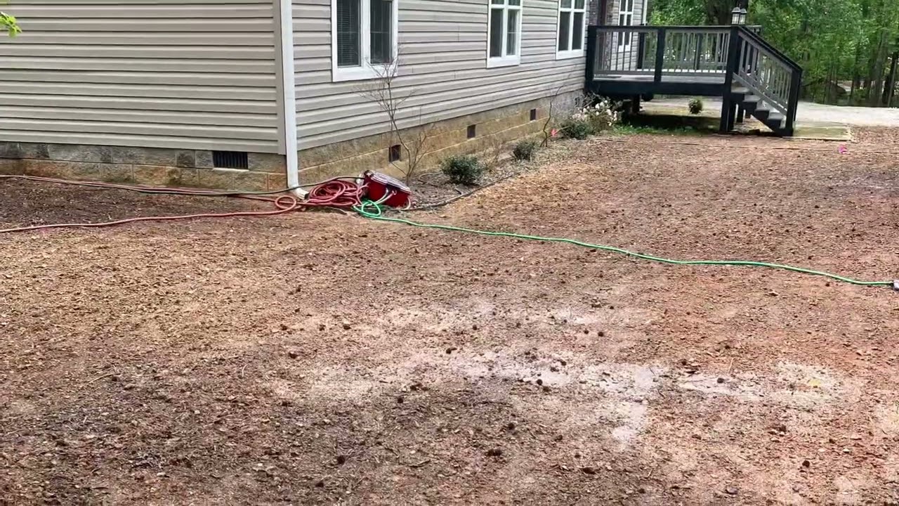 Ремонт газона TifBlair Centipedegrass