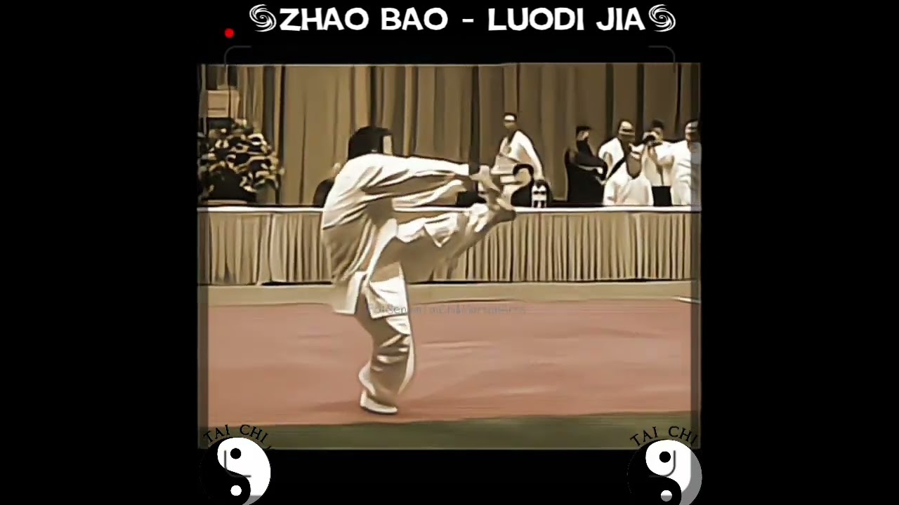 Zhao Bao Tai Chi Chuan with very low frame