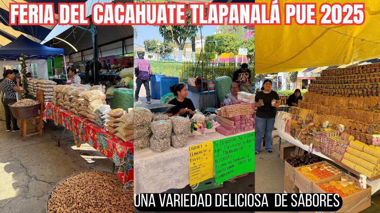 feria del cacahuate 2025 Tlapanalá puebla