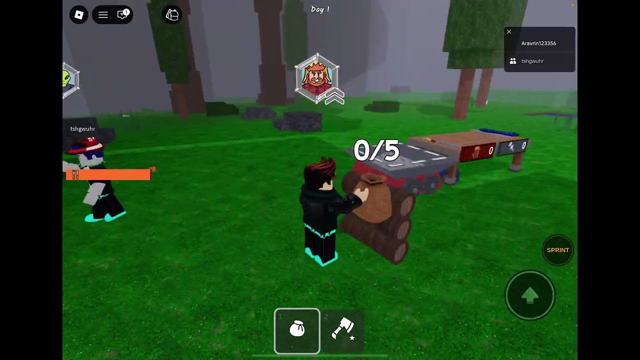 I am showing my roblox id and how pro i am in roblox