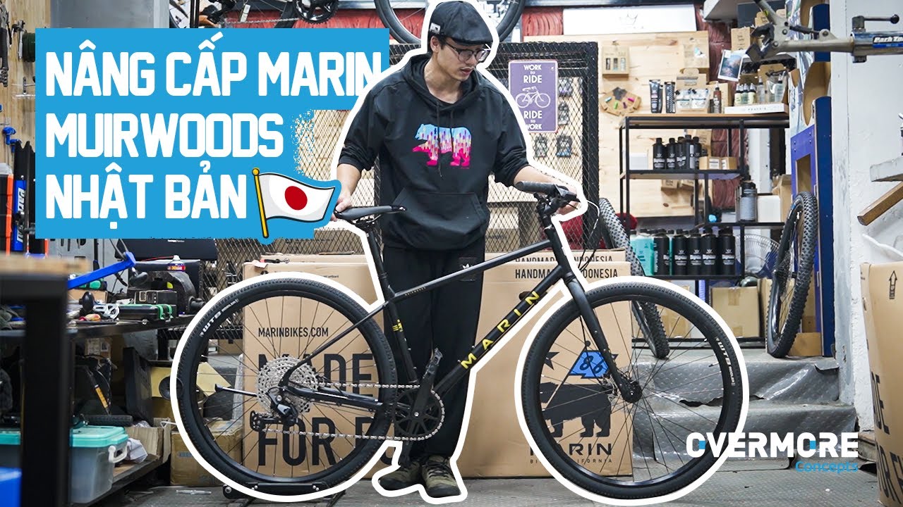 Unbox and Upgrade Muirwoods SE | Perfect city/touring bike
